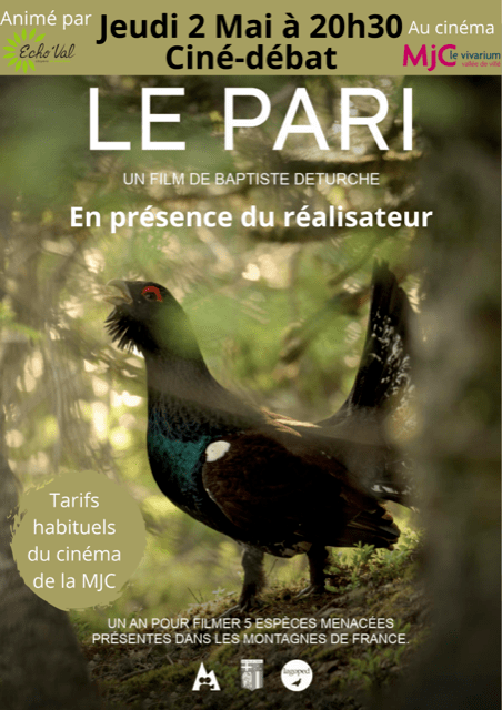 Ciné-Débat &laquo;&nbsp;LE PARI&nbsp;&raquo; sur les espèces d&rsquo;oiseaux menacées dans nos&nbsp;régions